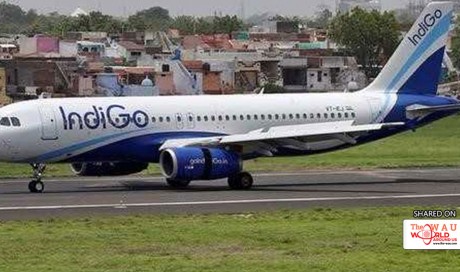 IndiGo Apologises To Passenger Who Fell Off Wheelchair At Lucknow Airport