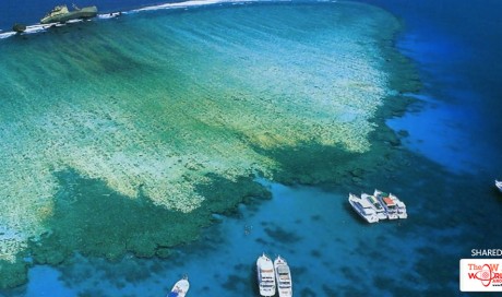  Do you know there are 1,300 islands in Saudi Arabia? 