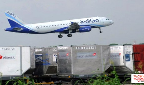 Doha-Bound Indigo Flight Suffers Bird Hit, Returns To Chennai