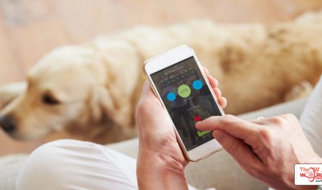 The 10 best blood pressure apps