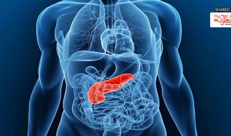 Habits That May Increase Your Risk of Pancreatic Cancer