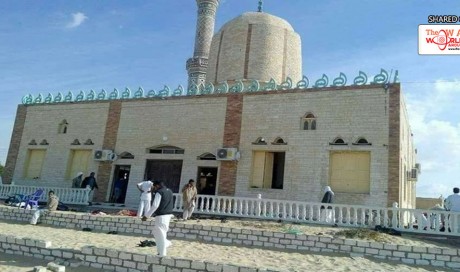 Egypt mosque attack: Europe must stop the flow of funds, says Anis