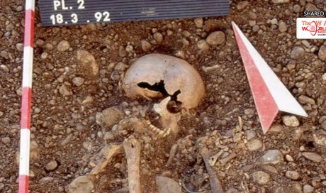 Plague reached Europe by Stone Age