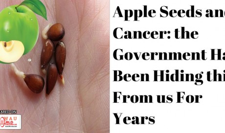 Apple Seeds and Cancer !!!