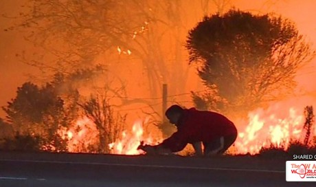 California wildfires: Nearly 200,000 flee amid new blaze