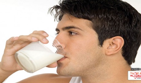Is Milk Really Healthy for You? Learn the Facts