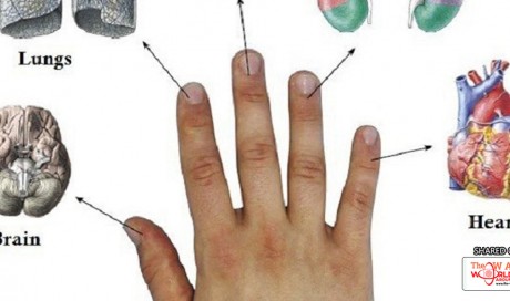 Every Finger Is Connected With 2 Organs: Japanese Methods for Curing in 5 Minutes!