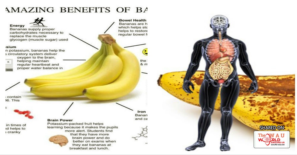 Best Time To Eat A Banana During The Day - Banana Poster