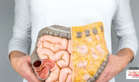 The Shocking Truth About Gut Health and Probiotics