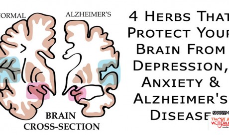 4 Herbs That Protect Your Brain From Depression, Anxiety & Alzheimer’s Disease