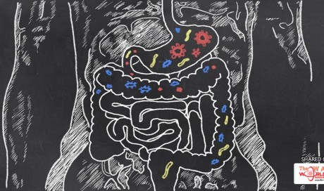 8 Ways To Improve Gut Flora To Aid Weight Loss, Beat Anxiety & Allergies