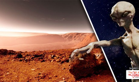 Life on Mars: Alien breakthrough as oceans of ice found beneath red planet