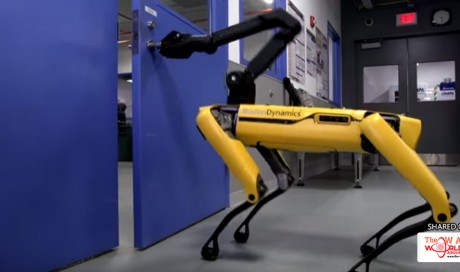 People Are Losing Their S**t Over This Robot Opening A Door