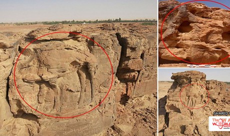 2000-year-old camel relief carvings found in Saudi Arabia 