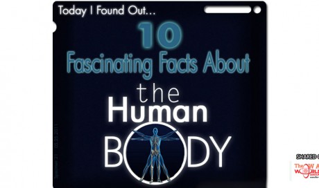  10 Fascinating Facts About the Human Body