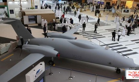 Unique UAVs shine at Capital military event