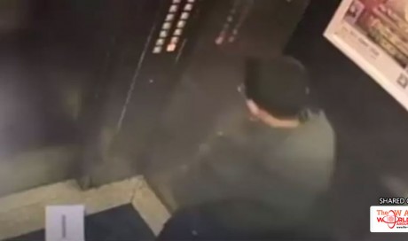 Boy Trapped In Elevator After Peeing In It. Caught On CCTV