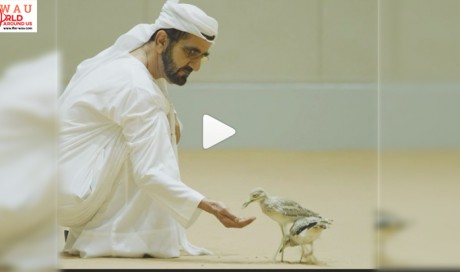 Watch: Shaikh Mohammad takes time out for the birds
