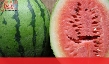 Do Not Consume This Type of Watermelon Because It Is Loaded With Pesticides and Hormones!
