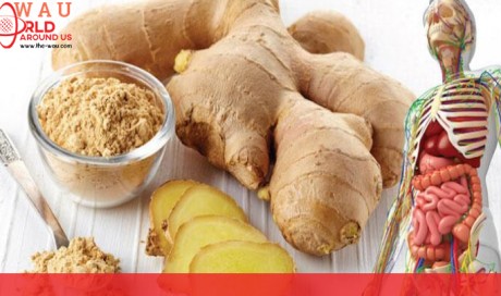 Health Benefits Of Ginger: Why You Should Have It Every Day
