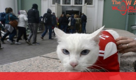 Russia to win first World Cup match, says clairvoyant cat
