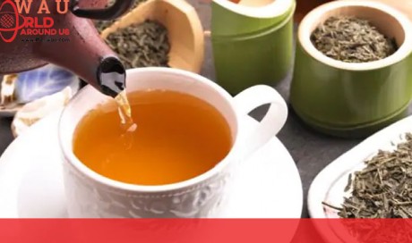 Are You Drinking Green Tea? You Should Know About The Damages It Causes To Your Body & Health
