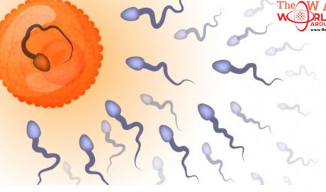 Male Infertility: 10 Things That Can Affect Your Sperm Count!
