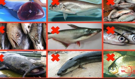 9 Kinds of Fish You Shouldn’t Eat
