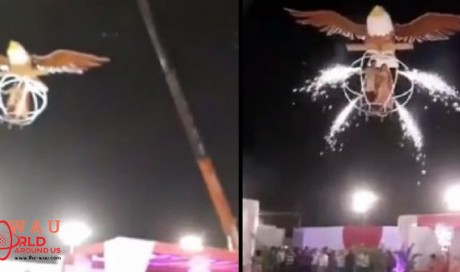 Indian Couple Makes Smashing Entrance In Giant Flying Bird Cage At Wedding & It Has To Be Seen!
