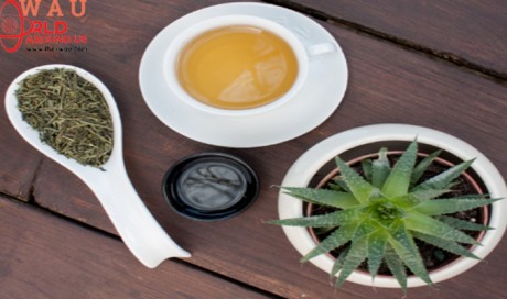 Amazing Benefits Of Drinking Aloe Vera Tea
