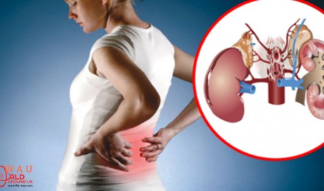 8 Bad Habits are Destroying your Kidneys Every Day: Immediately stop doing these things!