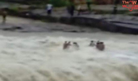 Video: 12 people washed away at waterfall while taking selfie in India

