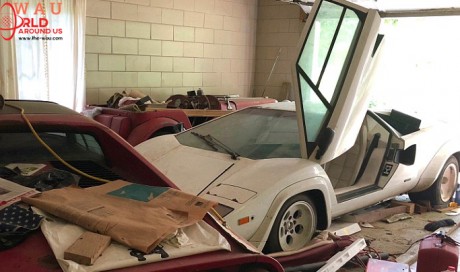 Student finds Ferrari, Lamborghini worth up to Dh2m in grandmother's garage
