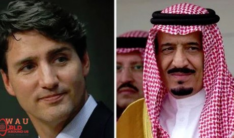 Saudi Medical Students Allowed To Stay Longer In Canada