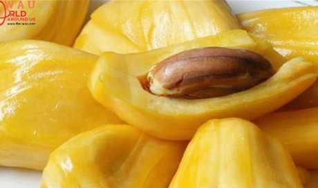 6 Remarkable Benefits of Jackfruit Seeds