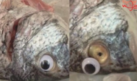 Kuwait: Old Fish Sold With ‘Googly Eyes’ To Make Them Look Fresh