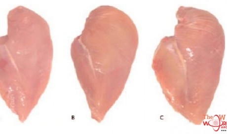 Be Careful When You Buy Food: What Do The White Stripes On Chicken Meat Mean?