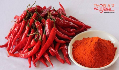 Is Your Red Chilli Powder Pure? 4 Simple Tests to Find Out