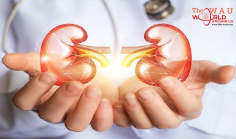 Suffering from critical illness for a while, you could be at risk of kidney disease