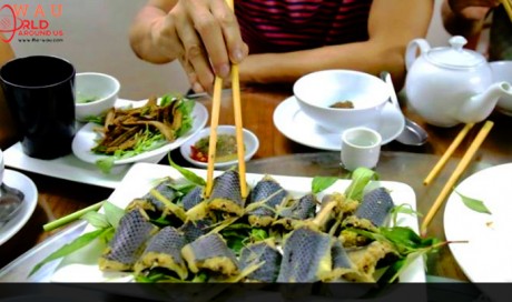 Snakes on a plate: Vietnam's coiled cuisine 