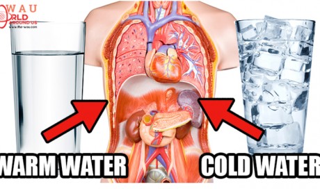 Cold Water Vs Warm Water: One of Them is Damaging to Your Health.