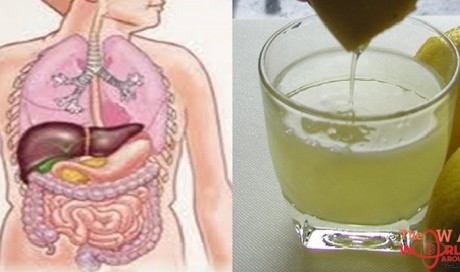 Remove All Toxins From The Body In 3 Days: A Method That Prevents Cancer, Removes Fat And Excess Water!