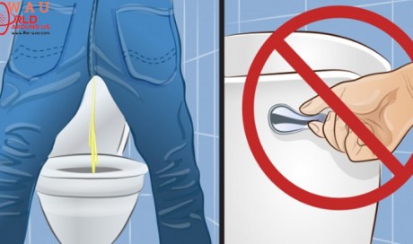Reasons why you should not flush toilet after peeing! Many do not know this…
