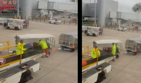Video: Passenger films baggage handler throwing luggage at airport