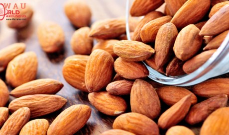 Almonds For Diabetes: Eating Almonds May Help Manage Type-2 Diabetes