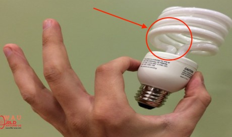 Energy Saving Light Bulbs Are Poisonous To The Brain, Nervous System, Liver, Kidneys And Heart
