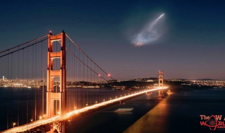SpaceX satellite launch lights up the night sky and social media