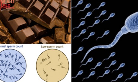 10 Super Foods To Increase Sperm Count, Production, and Motility!