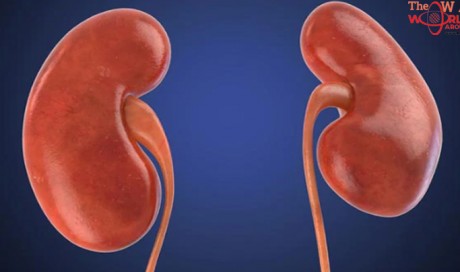 How does diabetes affect kidney health?
