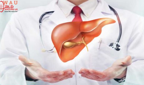 What to Drink for a Healthy Liver?